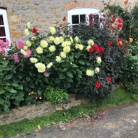 The Cottage Abbotsbury Exterior foto