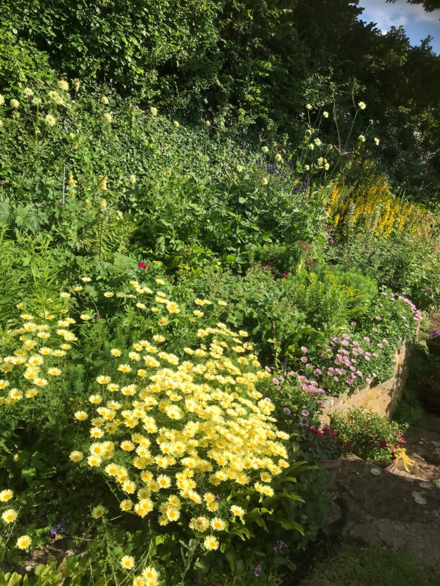 The Cottage Abbotsbury Exterior foto
