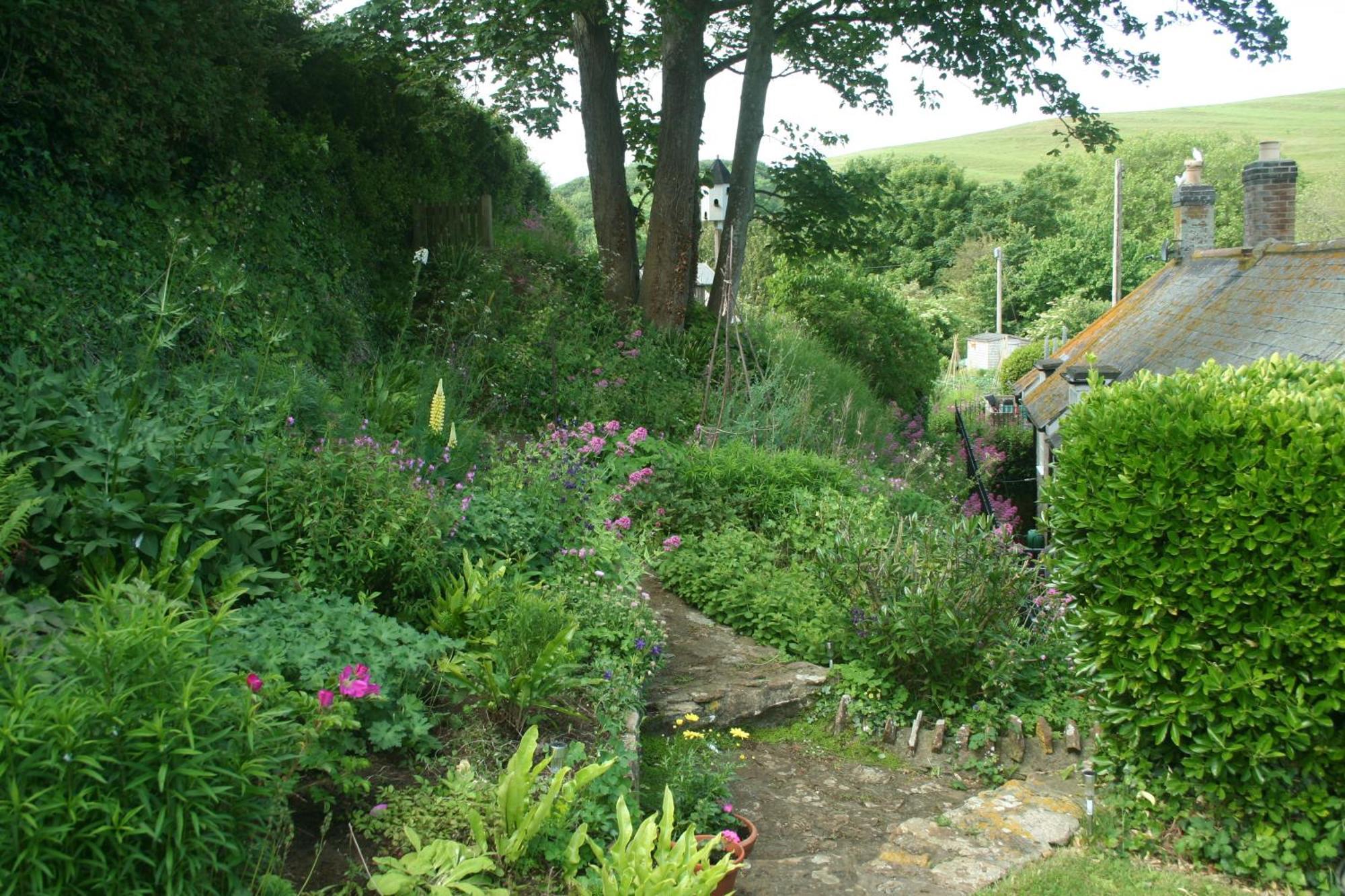 The Cottage Abbotsbury Exterior foto
