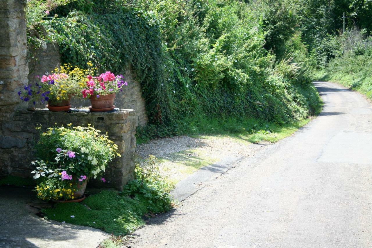 The Cottage Abbotsbury Exterior foto